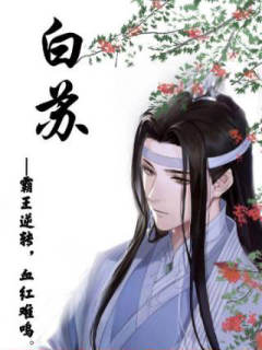 风起花落云遮月-资料图