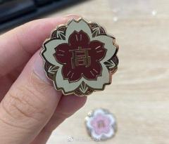 小川入野徽章-资料图