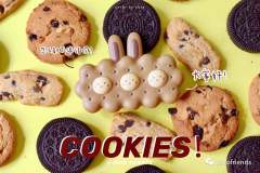 隐藏款-酷奇三兄弟-资料图