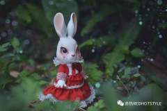 白色情人节赤兔-资料图