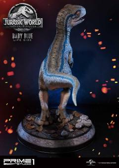 Blue 婴儿-资料图