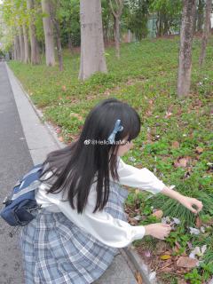 致夏-资料图