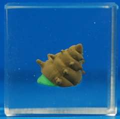 Crystal Monsters Cube Type 寄居史莱姆 -资料图