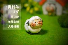 奥利羊-资料图