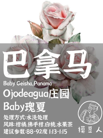 巴拿马baby瑰夏