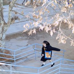 发财虎毛线针织挎包-资料图