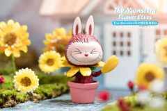 巧克力花-资料图