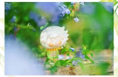 Windy-资料图