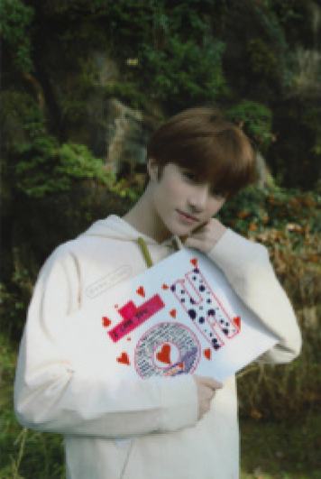 crown ver.C