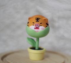 猪猪郁金香-异色款