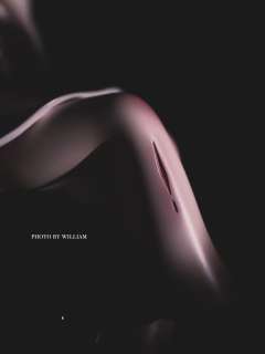 恶魔熊熊-资料图