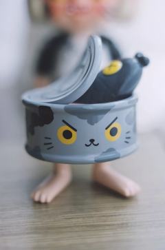 Catt-资料图