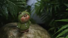 青蛙-资料图