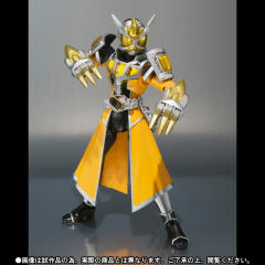 SHF 假面骑士Wizard Land Dragon Style-资料图