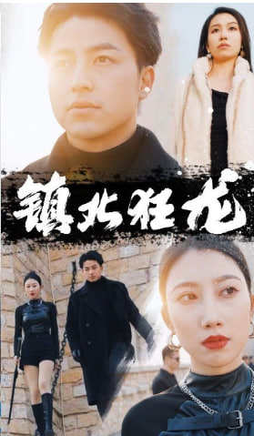 镇北狂龙