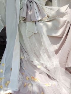 西府棠蔓-资料图