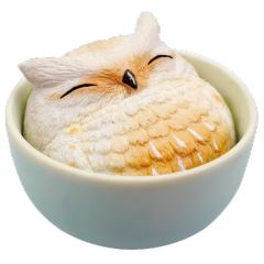 杯中生物
