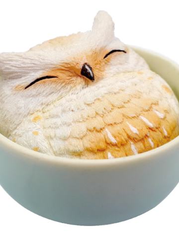 杯中生物
