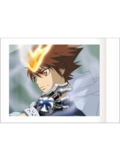 泽田纲吉A-movic拍立得第五弹