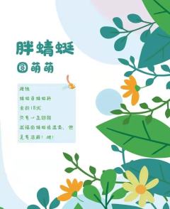 虫儿飞-资料图