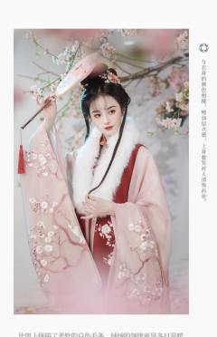 杏花疏影-资料图