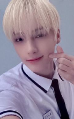 Shopee ver.A