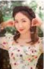 岐遇娃娃小卡