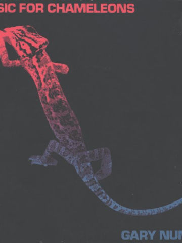 Music For Chameleons