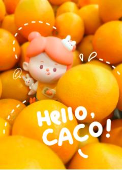 初代橙色郁金香CACO-资料图