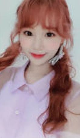 Violeta专卡10 ver.B