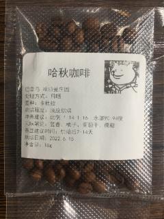 巴拿马哈特曼