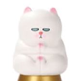 VIVICAT
