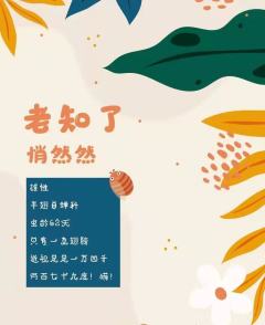 虫儿飞-资料图
