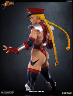 Mixed Media 嘉米·怀特 Shadaloo Cammy-资料图
