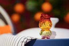 彩虹花生-资料图