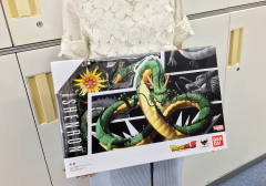 SHF 神龙-资料图