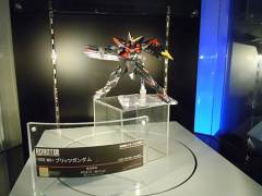 ROBOT魂 GAT-X207 迅雷高达-资料图