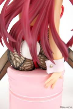向坂环 Bunny ver.-资料图
