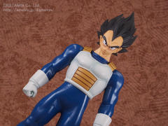 Dimension of Dragonball 贝吉塔 -资料图