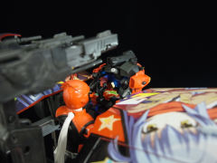 SHF 秋叶红-资料图