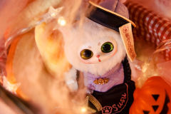 姜丝派对娃衣-资料图