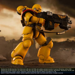 原铸星际战士 Imperial Fists-资料图