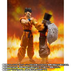 SHF 雅木茶 屈指可数的地球强者-资料图