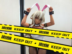 三世村正 Bunny ver.-资料图