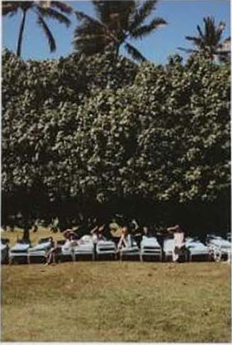 夏威夷pb团体明信片 ver.B