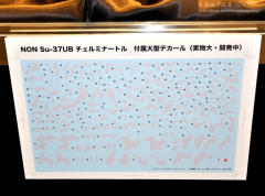 Su-37 “终结者”-资料图