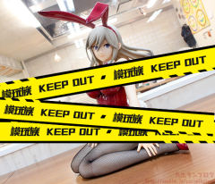 B-style 亚莉莎·伊莉妮提娜·阿米耶拉 Bunny ver.-资料图
