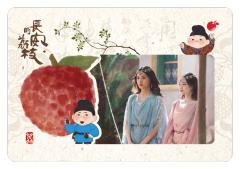 见微26