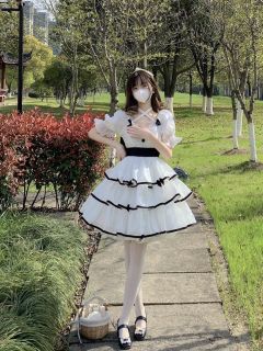 白山茶-资料图
