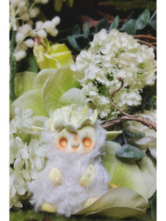 迷你系列-小白菜